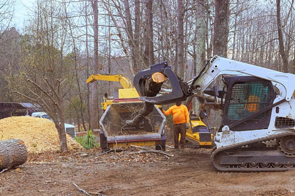 Residential property after professional tree removal with logs processed and the hazardous tree safely removed in Saint Charles, MO.
