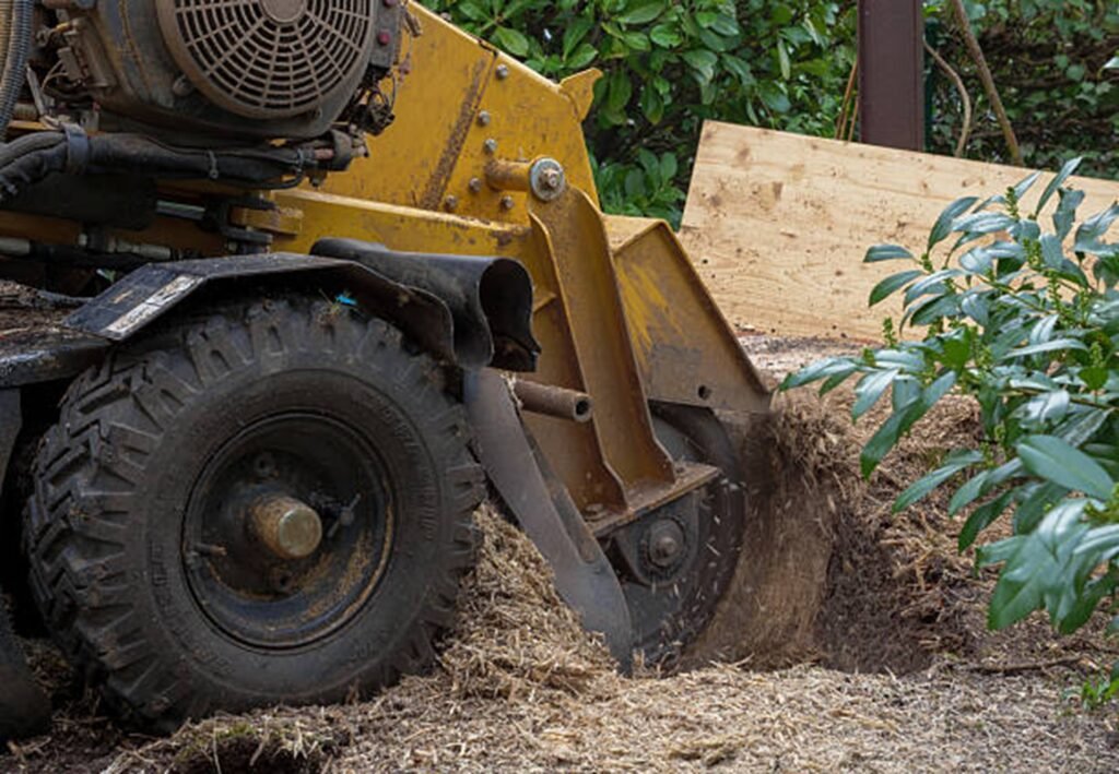 Professional stump grinding machine removing a tree stump from a residential yard during stump grinding and removal service in Saint Charles, MO.