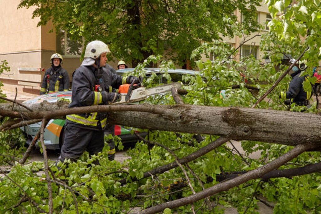 Emergency tree service crew safely cutting and removing a fallen tree blocking a residential street in Saint Charles, MO after severe storm damage.